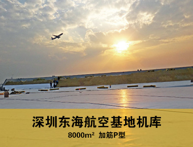 深圳东海航空基地机库